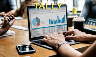 TECHINAUT-TALLY-011