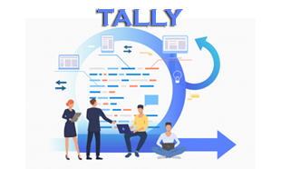 TECHINAUT-TALLY-017