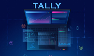 TECHINAUT-TALLY-007