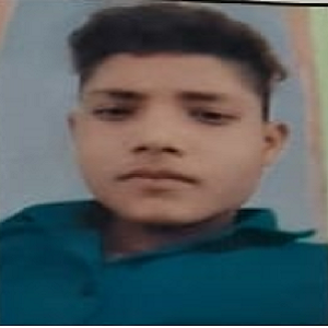 Vikas